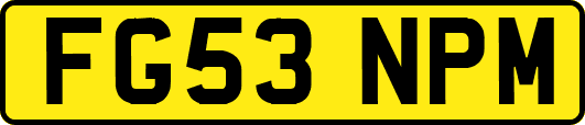 FG53NPM