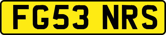 FG53NRS