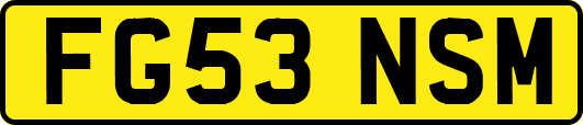 FG53NSM