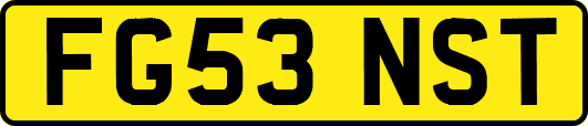FG53NST