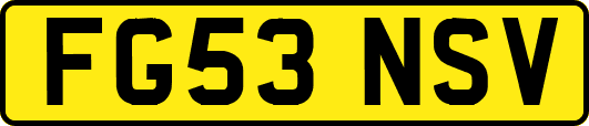 FG53NSV
