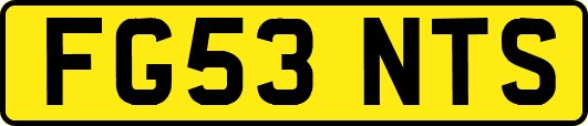 FG53NTS