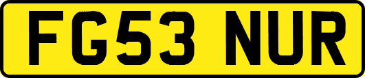 FG53NUR
