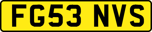 FG53NVS