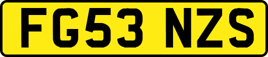 FG53NZS