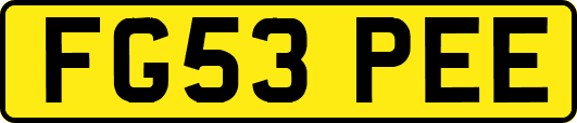 FG53PEE