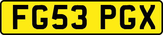 FG53PGX