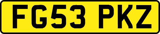 FG53PKZ