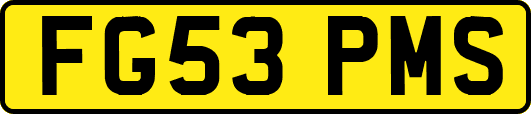 FG53PMS