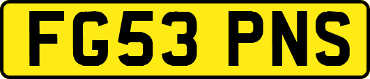 FG53PNS