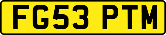 FG53PTM