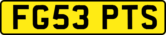 FG53PTS