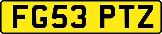 FG53PTZ