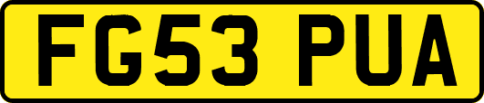 FG53PUA