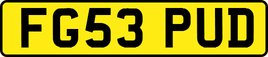 FG53PUD