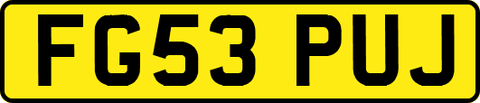 FG53PUJ