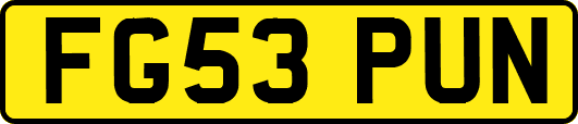 FG53PUN