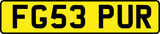 FG53PUR