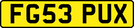 FG53PUX