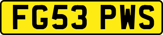 FG53PWS