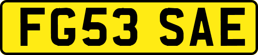 FG53SAE