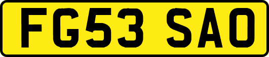 FG53SAO