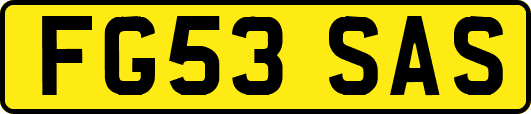 FG53SAS