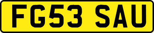 FG53SAU