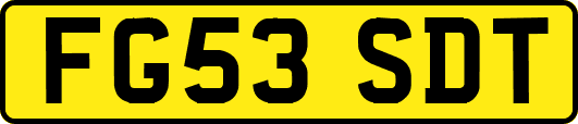 FG53SDT