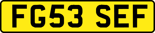 FG53SEF