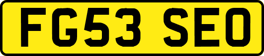 FG53SEO