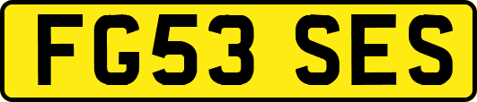 FG53SES