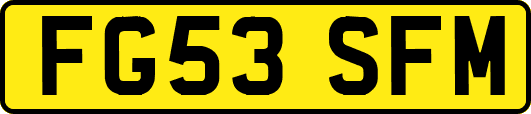 FG53SFM