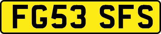 FG53SFS