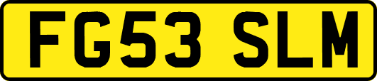 FG53SLM