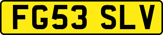 FG53SLV