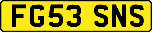 FG53SNS