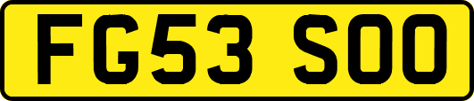 FG53SOO