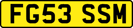 FG53SSM