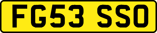 FG53SSO