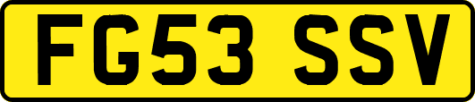 FG53SSV