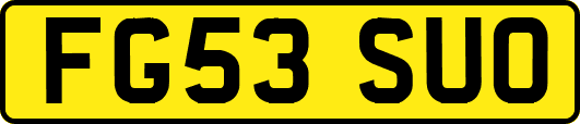 FG53SUO