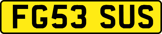 FG53SUS
