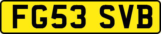 FG53SVB