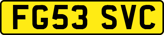 FG53SVC