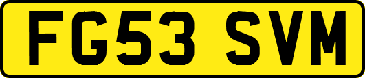 FG53SVM