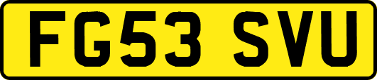 FG53SVU