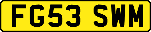 FG53SWM