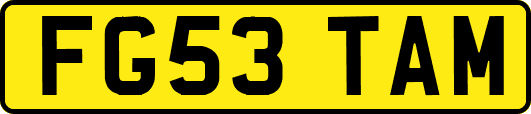 FG53TAM