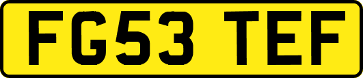 FG53TEF
